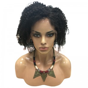 High Quality 100% Brazilian Virgin Human Hair Afro Kinky Curly Lace Front Wigs 