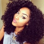 250% Density Wig Pre-Plucked Lace Front Human Hair Wigs with Baby Hair Malaysian Hair Kinky Curly 
