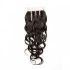 Indian Remy Hair Water Wet Wave Free Part Lace Closure 4x4inches Natural Color