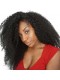 Natural Color Unprocessed Peruvian Virgin 100% Human Hair Kinky Curly Full Lace Wigs
