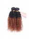 Peruvian Virgin Human Hair Kinky Curly Ombre Hair Weave Color 1b/#30 3 Bundles